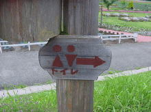 sNgO